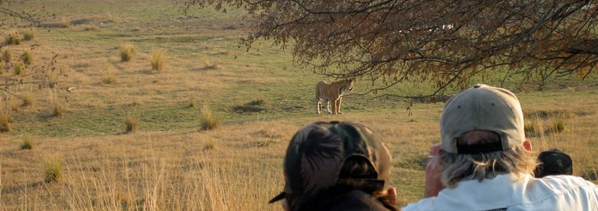 ranthambore tiger reserve