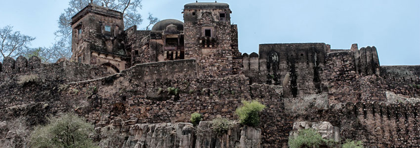 ranthambore tiger reserve